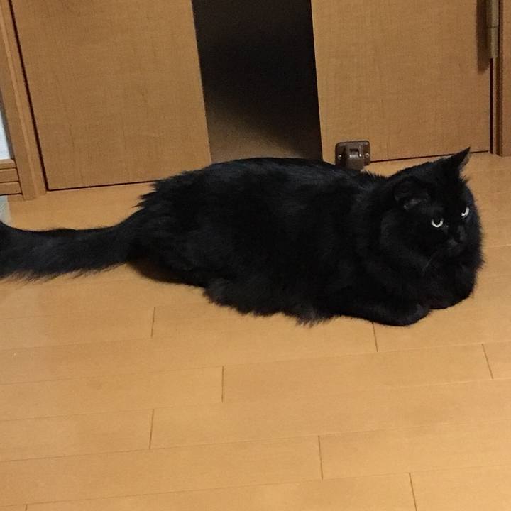 8e65ebd5 ba98 42f0 83de d441cb58a914 1514882378702