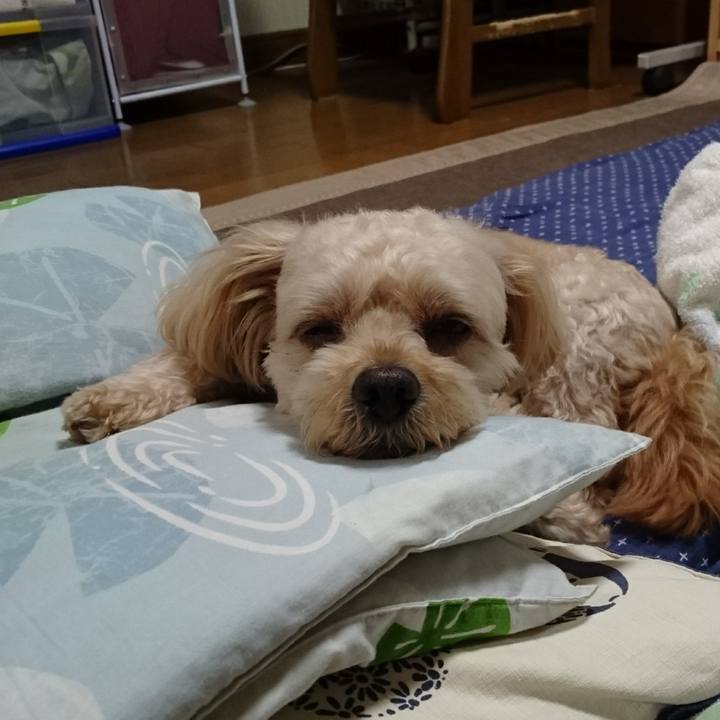 8e66163d 63e7 46e6 8d51 73473405d555 1597303979705