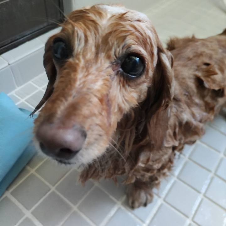 8e664731 ccc3 48e9 b0e6 36b554702a1f 1654581700970