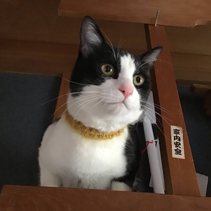 8e66c03f d1a5 44e6 8715 61431b789543 1648520795620