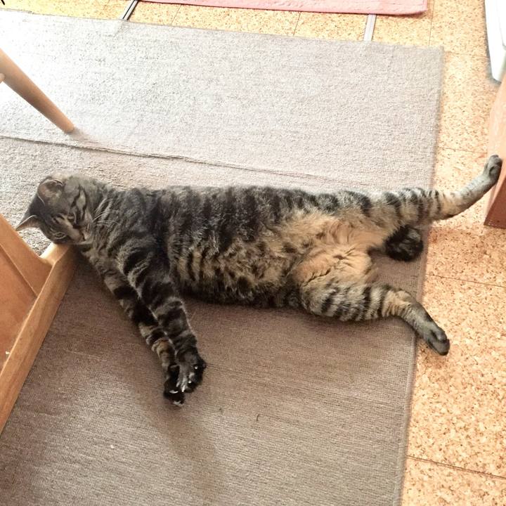 8e675f3f 8c94 486f 8180 bf10a4cf7ac3 1522391682127