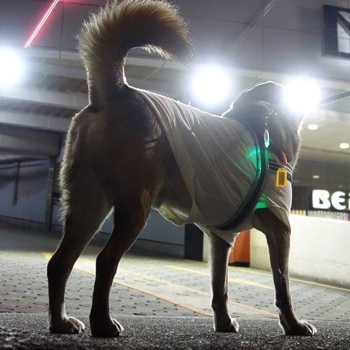 8e678368 d193 48ee 9b05 bf2e045ec5bc 1515927153074