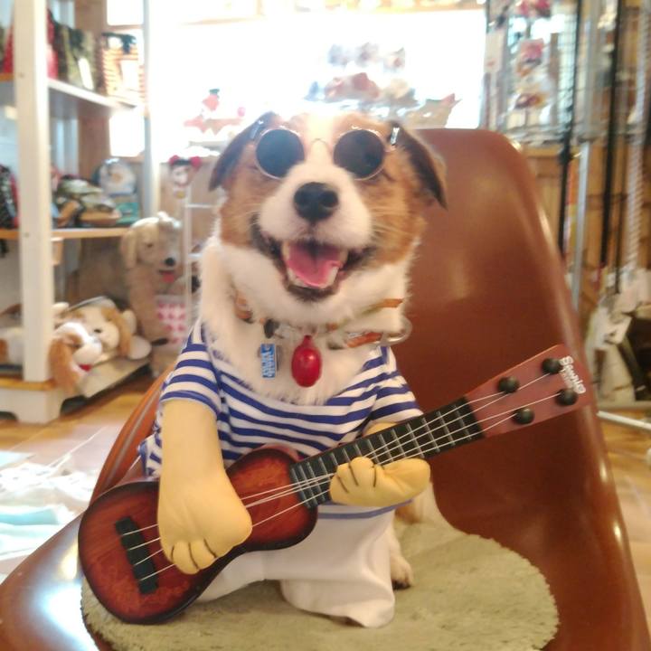 8e67aa44 7105 485a bd07 a3e4950e3556 1530874703711