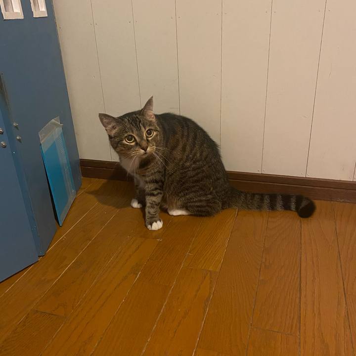 8e67c208 0b40 4267 8220 cf80199c7ec6 1627485632067