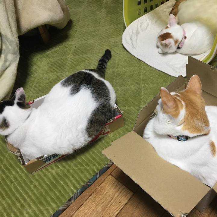 8e67e220 1d22 478d 8aca 3de1e35681de 1551968968298