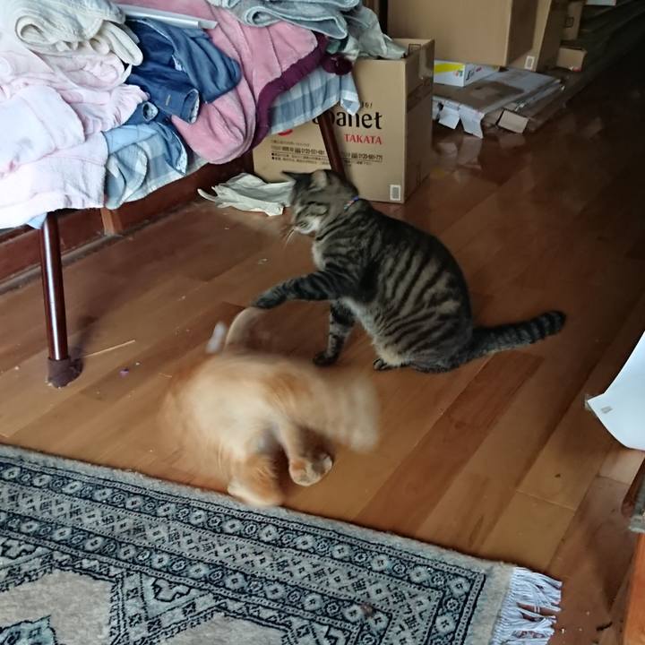 8e6817c1 d550 4e87 a3ee 63cfff07d0c2 1656968448398