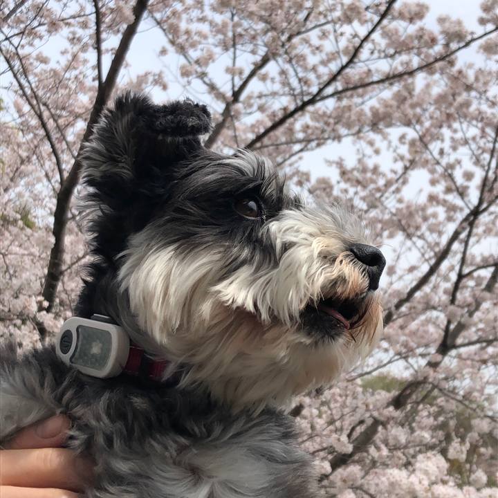 8e684879 702b 4855 82cc e215f0179f88 1712459134052