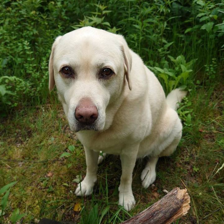 8e6848ac c3a2 4ad5 9079 2148aad723d0 1720686898360