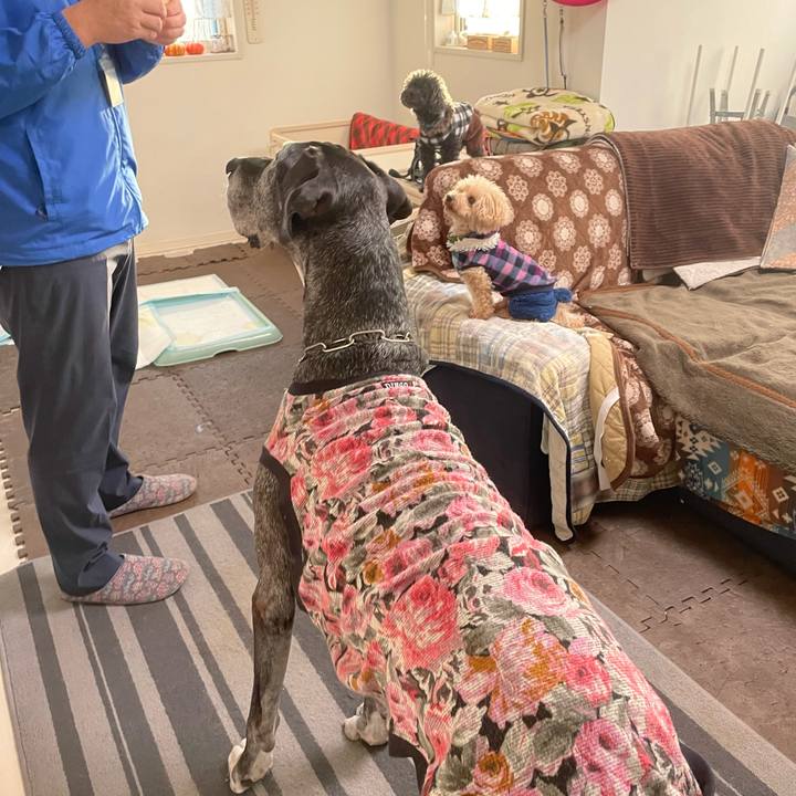 8e6848f3 2319 47f5 b70d 96bbc01b616e 1645050718416