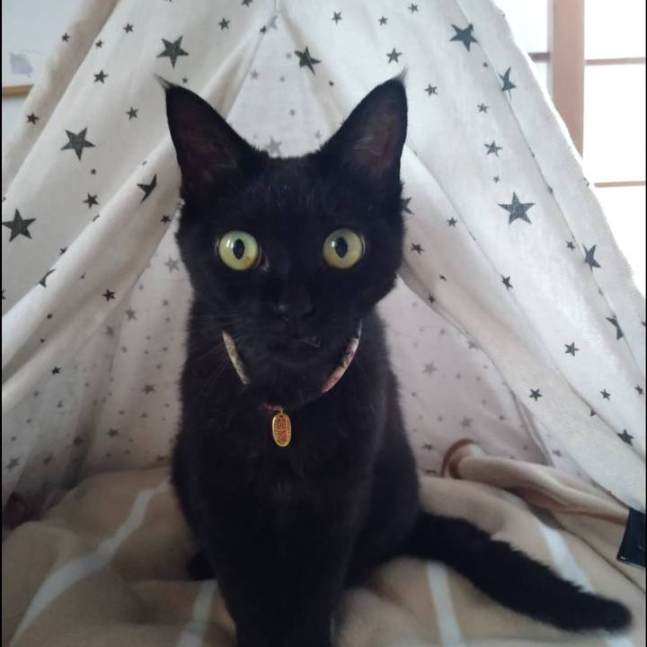 8e6867fb cfc7 4c24 8ad6 54ad7b4a0ee4 1654234528869