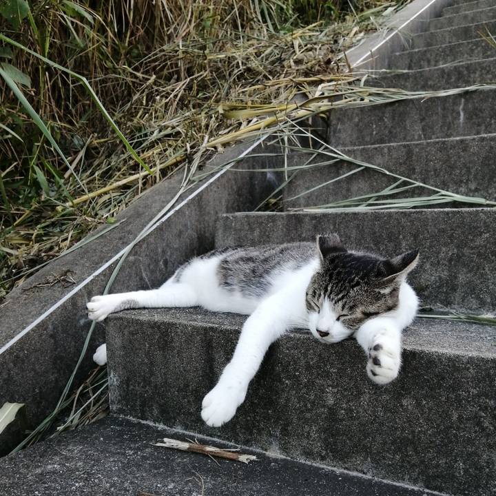 8e687b0f 5b17 40ea a8a0 ae6f5edcec9f 1567855728253