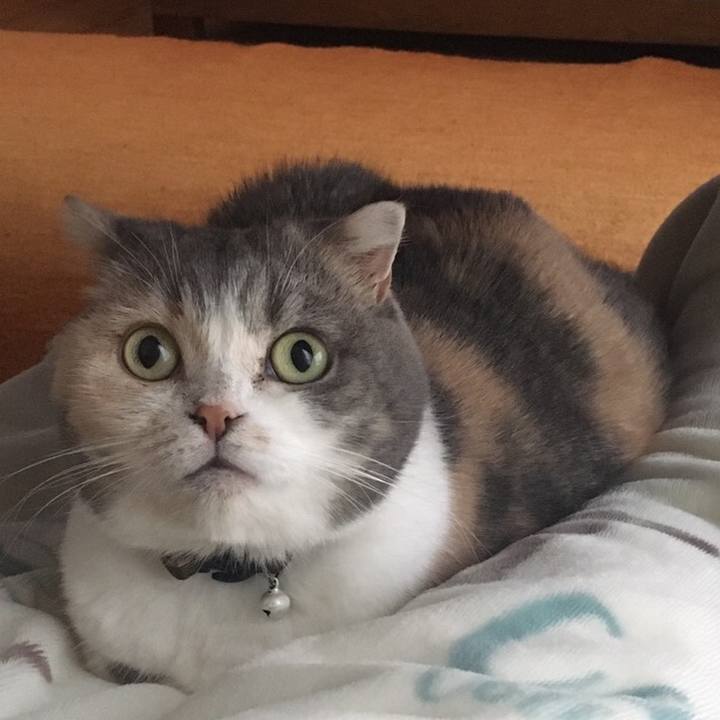 8e688217 a36a 4a9e 9c1e 54e508e5cacc 1571138478481