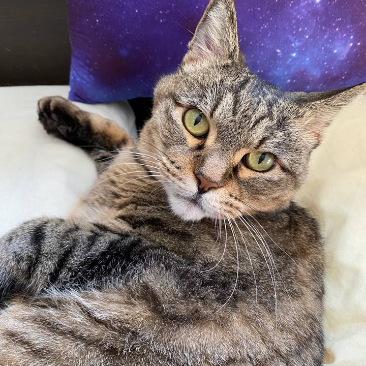 8e689336 f7d0 4071 8b4c b1c2d485b1be 1667107299757