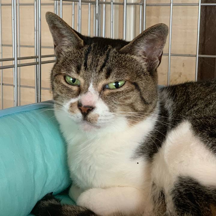 8e68b1c0 28ae 4bd0 88b4 e6ed82210ed8 1560990441661