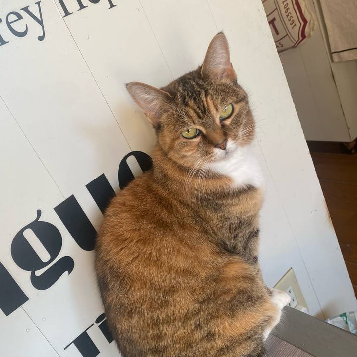 8e68b8e8 88df 4867 9e9d ef346579c9cb 1671927140207