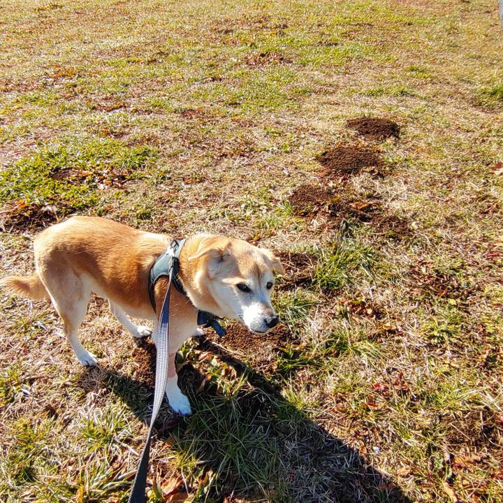 8e69374a 1021 4306 86d4 576392305b80 1641955431669