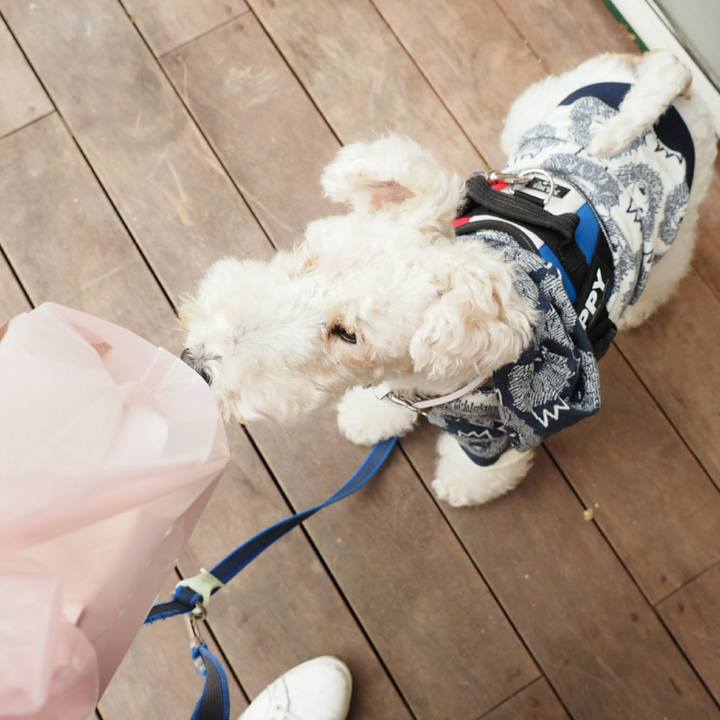 8e6940db 05b1 4d04 bea3 ab0485f065f9 1520138110069