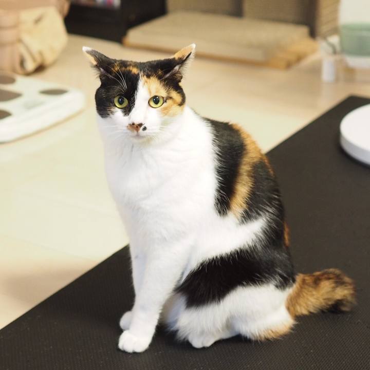 8e697e2a a48e 49bb 9553 a6be0e6e838d 1543966983962