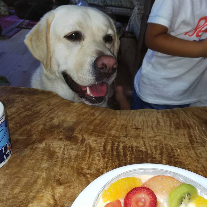 8e69836d 6dcd 4eda a430 cf2127fb52db 1530342733756