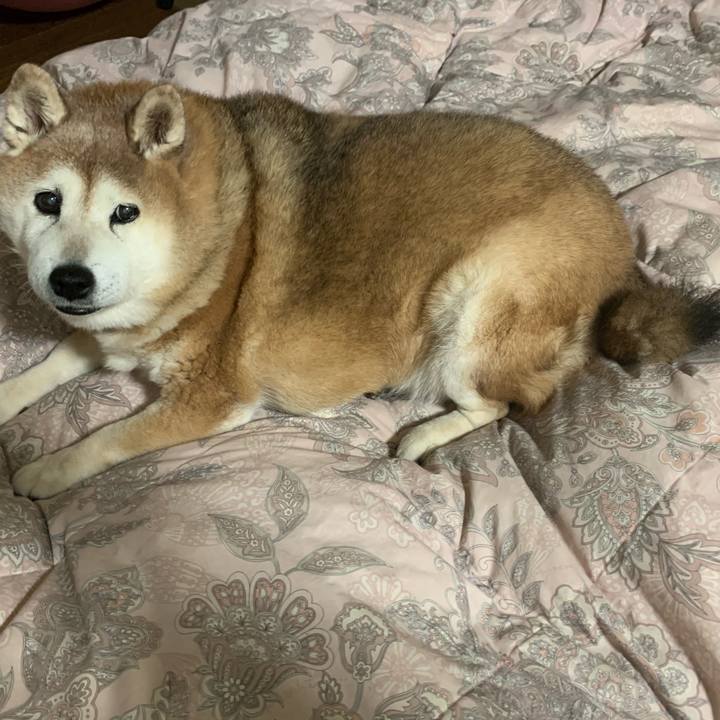 8e6999dd ed7b 445b a7fb d08864f0b476 1617806931256