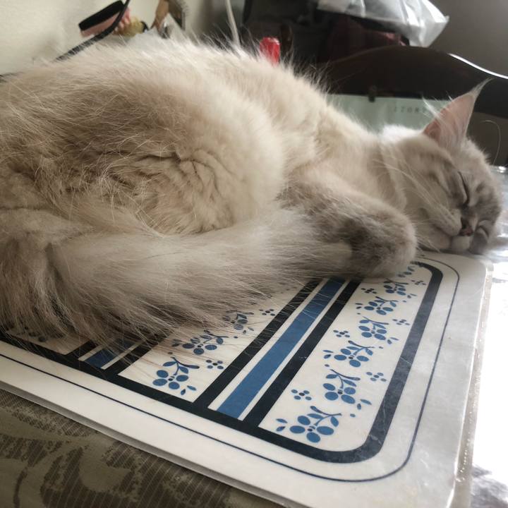 8e69b7c4 2df3 49c4 85d3 768b621c63f6 1684035133022