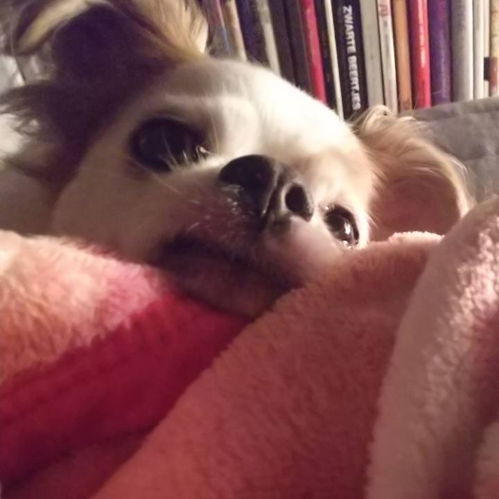 8e69f877 db24 4701 8fe2 fdbf7e6aadec 1593103896763