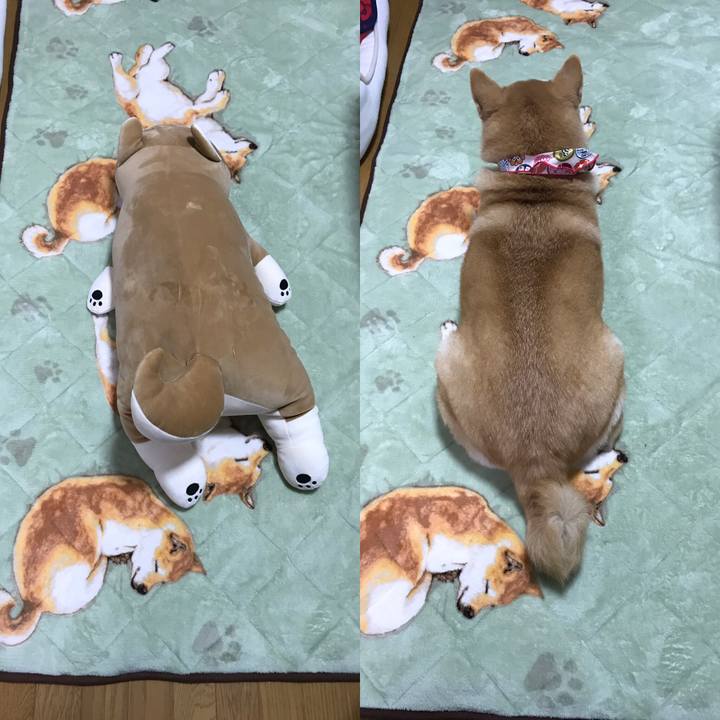 8e69fac9 fb5a 439b 864f 94957b6d4f54 1541236272455