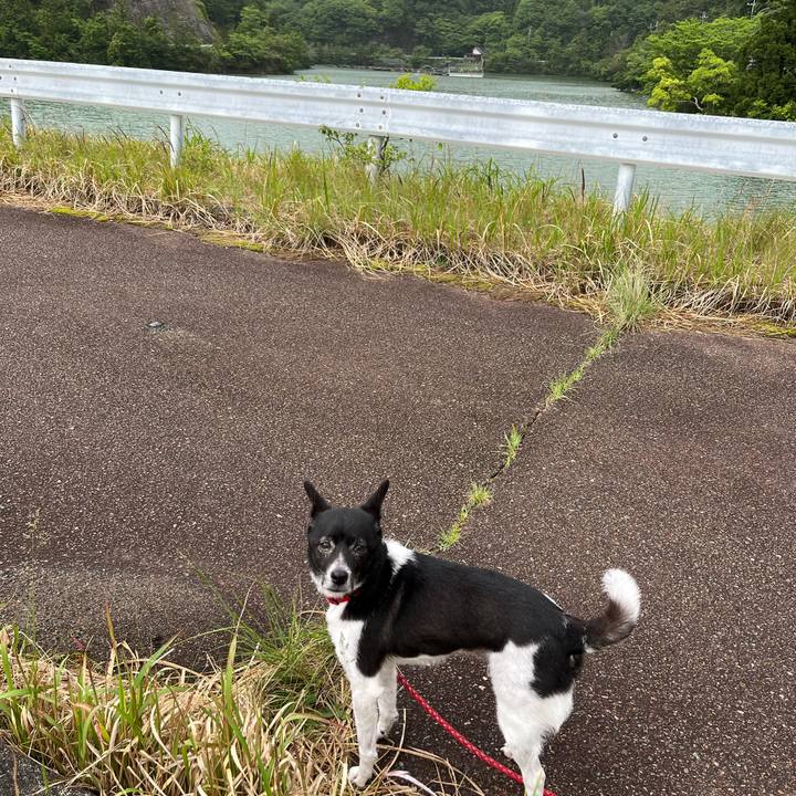 8e6a1484 fdfd 42ed a6e5 ae7febcafb24 1684539444293