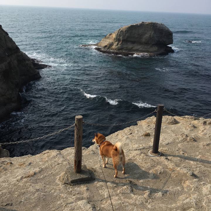 8e6a274c b22a 4790 b23e 905ef38b4eff 1521972604659