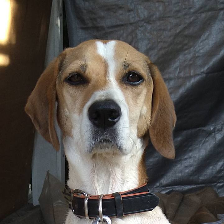 8e6a52e8 f334 47f6 bd88 b324b0bccd57 1634829127099