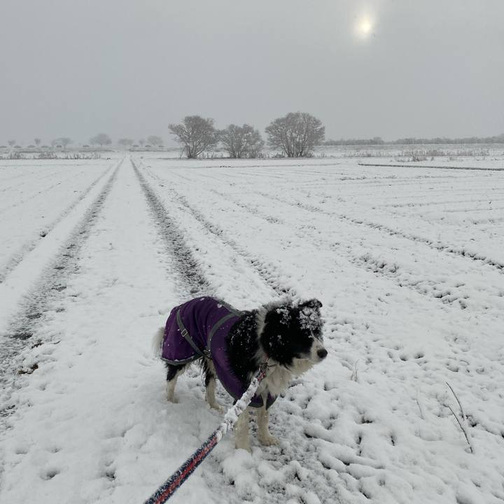 8e6a5d41 5eb7 4926 b39c 7bc65a914b78 1671322993850