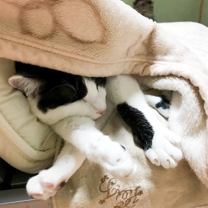 8e6a650b d327 4d92 99b7 0e17a5503e56 1521769229464