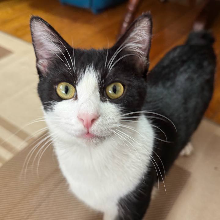 8e6a669c e62d 4997 a153 25b9249e31ea 1734218942828