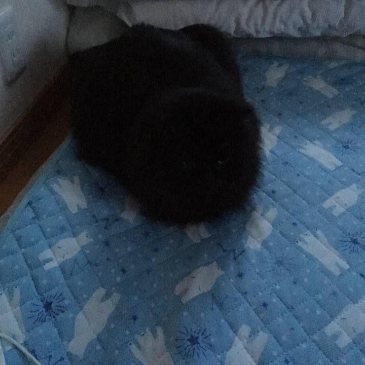 8e6a91ef 1f07 49d0 9e22 021fec28b4cf 1547977182370