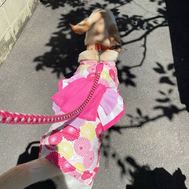 8e6abdc2 0d4b 4895 b0c5 2db3f54116eb 1628308250787