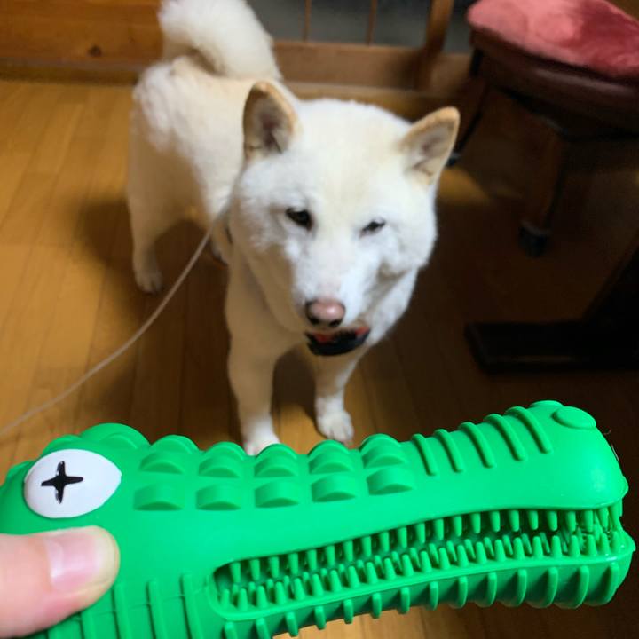 8e6ada37 c894 40f4 a4f9 7fd756021088 1610011357787