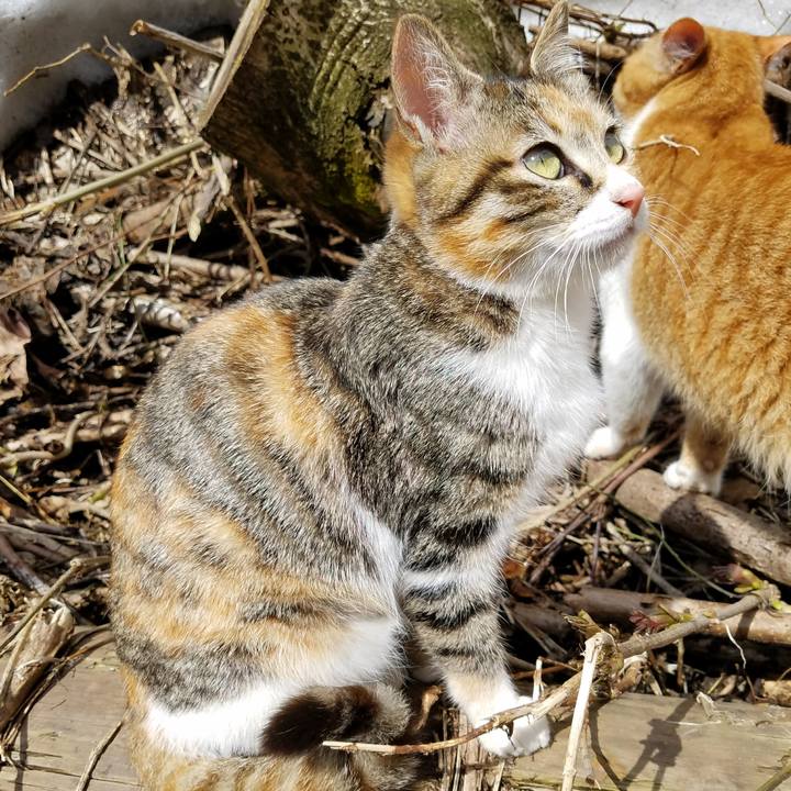 8e6ae7a8 0d32 4031 a0c4 14306c117d4c 1522186396578