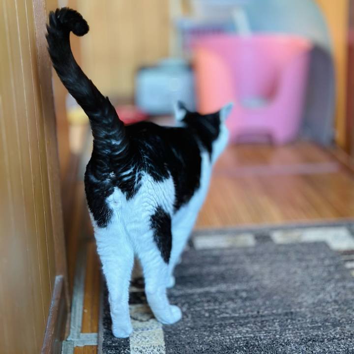 8e6af600 1593 4f95 8947 d6fac075163a 1696210504924