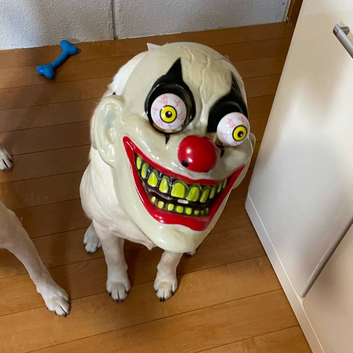 8e6b3b37 7d15 4b26 9246 f16708d8baff 1632693928337