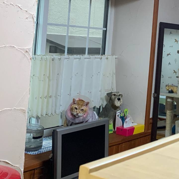 8e6b6173 ca8f 4092 97d9 aaf5432130ef 1620990399733