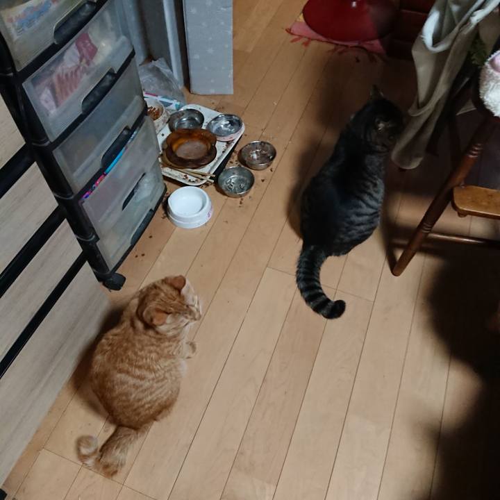 8e6b78dc 1885 472e 99c4 d68e22921677 1641376721005