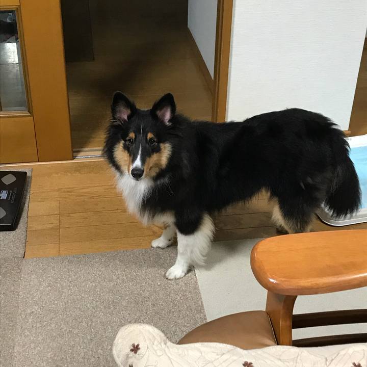 8e6b99d2 f309 472f aed8 4461b53d8564 1537826461314