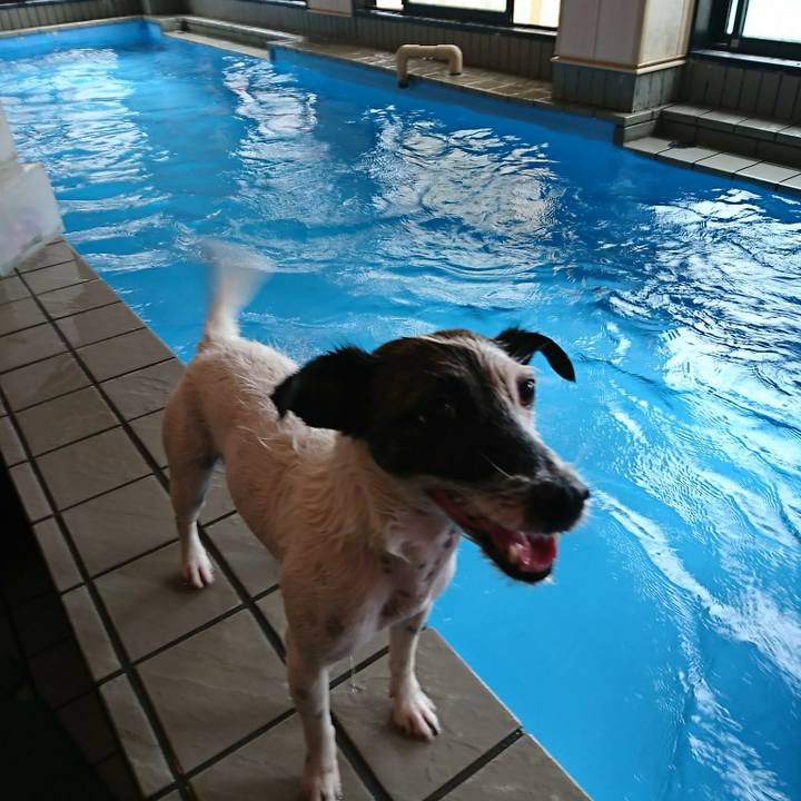 8e6bd222 7767 4ec6 b1a4 cd470d404f00 1535085839716