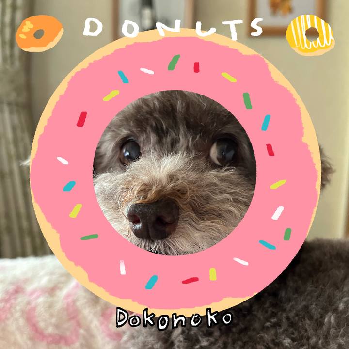 8e6be78b 9a85 48e7 a225 73e4477ecaf5 1744615650815