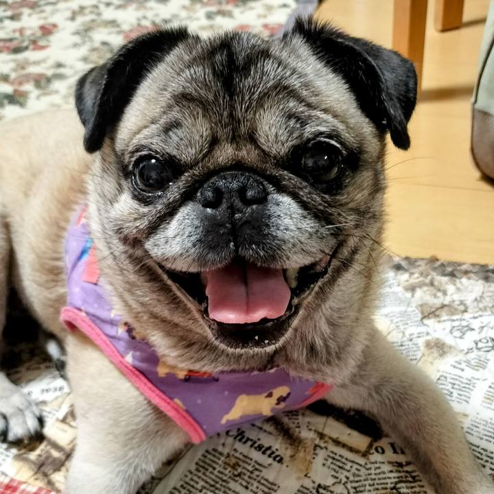 8e6c12d9 9a93 4e55 a447 512c47f19896 1758710050648