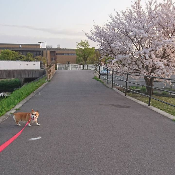 8e6c5d0a 01b8 489a a095 360d51e6ad25 1617536901546