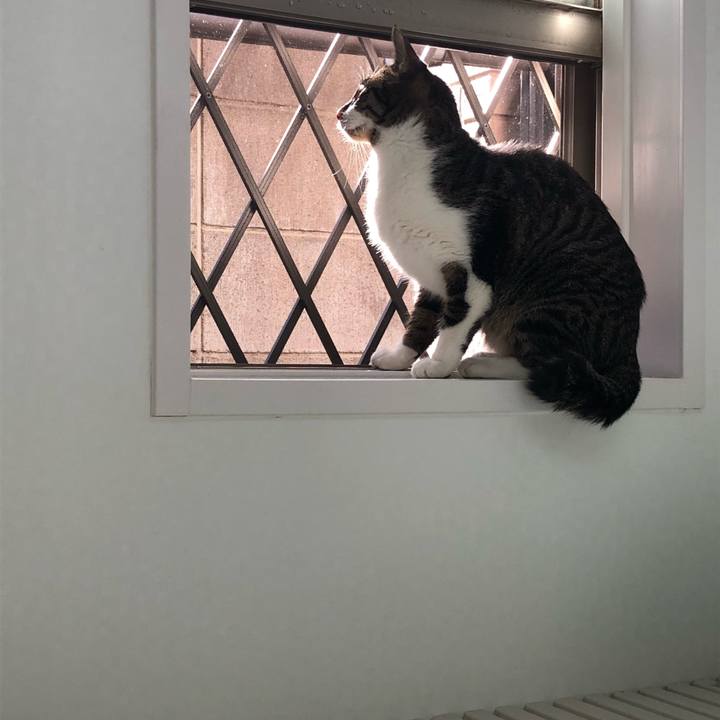 8e6c71f2 d746 4966 a70f d737d5a80785 1514632670784