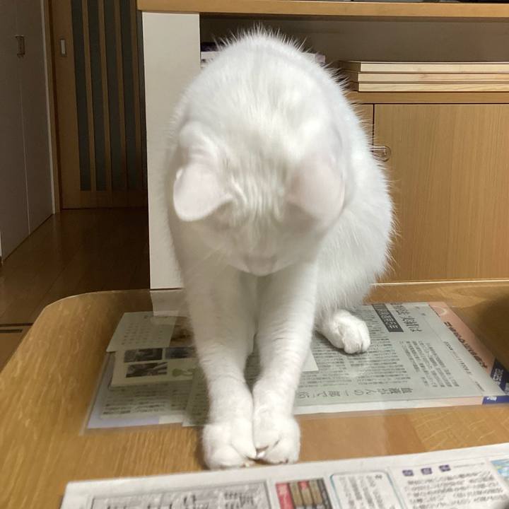 8e6cb864 9cc5 4bde b67f 4b860428aec5 1736736274687