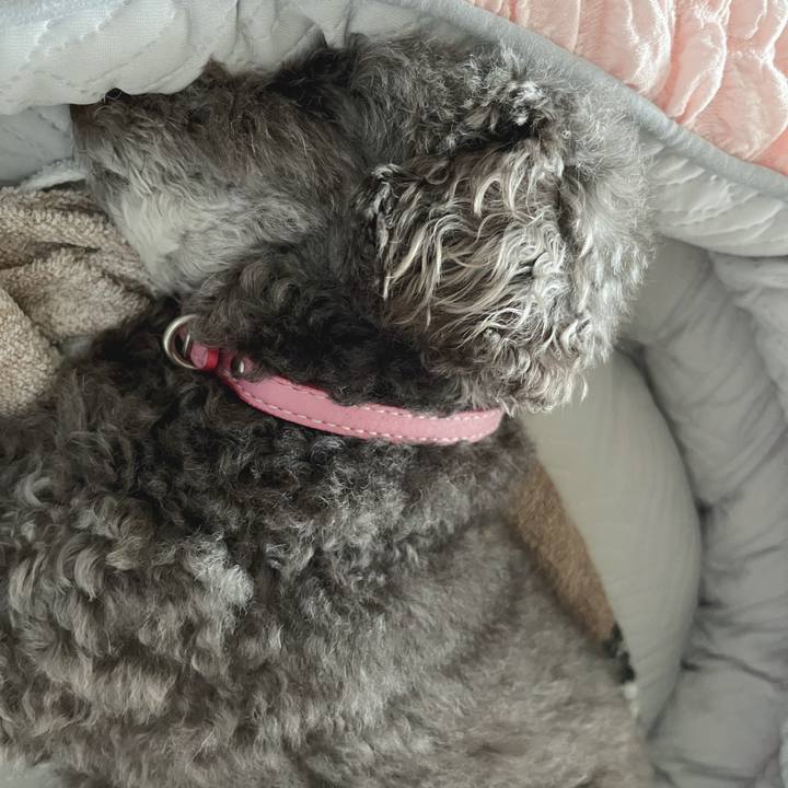 8e6cf7e3 10a7 4ccf 8052 656c058faf0e 1728947497680