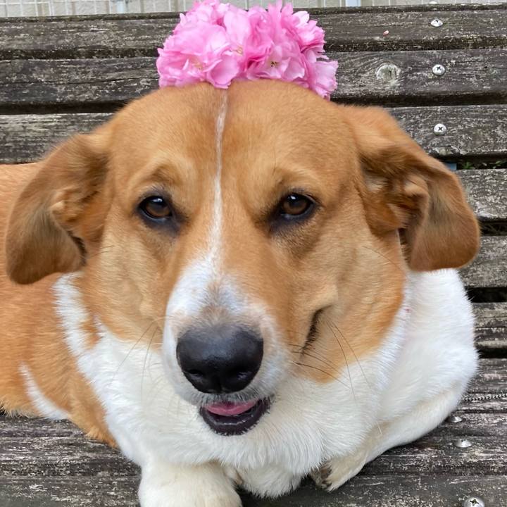 8e6d0ccf 7901 42ac 8d2e 53ba26a10888 1680919535478